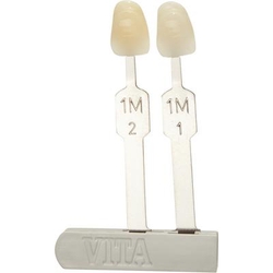 Vita 3D-Master Tooth Replacement 1M1, 1M2