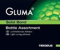 Gluma Solid Bond (Kulzer)